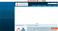 Desktop Screenshot of ankidyne.co.in